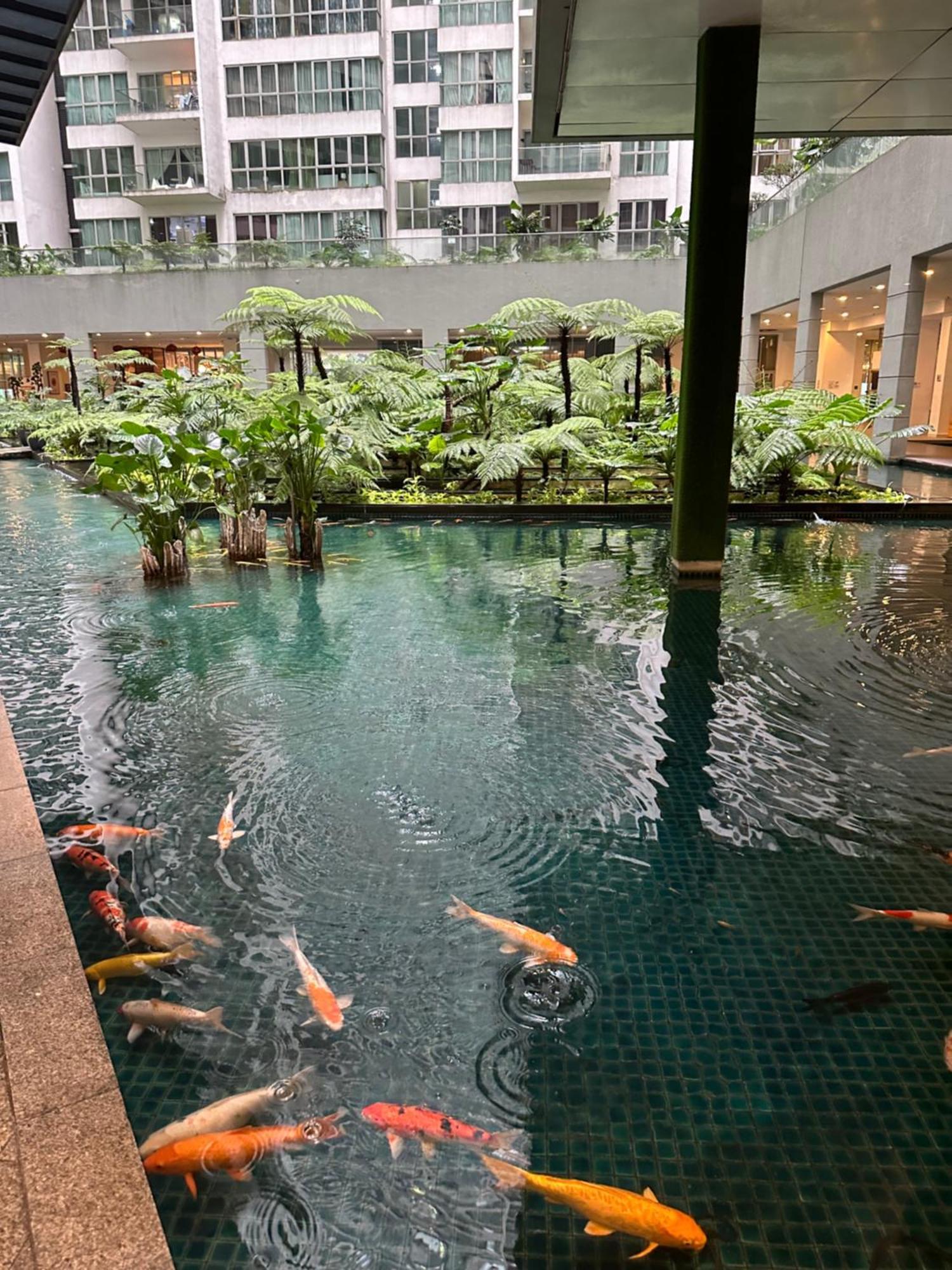 Modern Bauhaus Studio At Regalia Klcc Infinity Pool Kuala Lumpur Exteriör bild